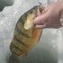 Hottest Ice Gear on Ice in 2010