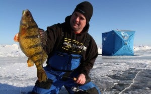 Yellow Perch Ice Fishing