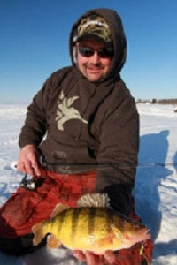mid- to late-season perch
